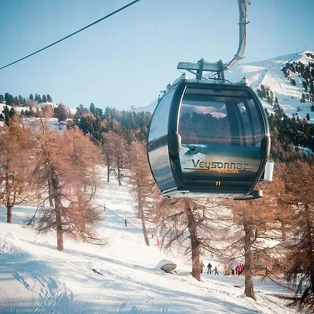Alpvision Rasidences B4 * Veysonnaz
